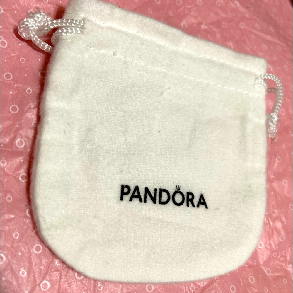 PANDORA polish bag